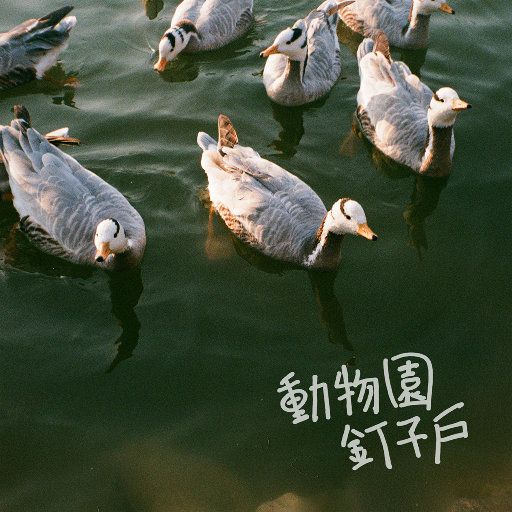 亚洲经典一曲二曲
